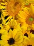 花政！ブログはじめました＾＾♪｜「フローリスト花政」　（東京都目黒区の花キューピット加盟店 花屋）のブログ